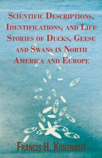 Cover image for Scientific Descriptions, Identifications, and Life Stories of Ducks, Geese and Swans in North America and Europe