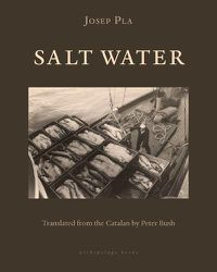 Cover image for Salt Water