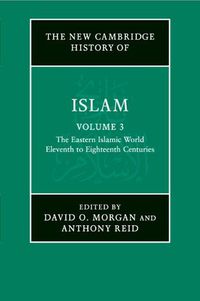 Cover image for The New Cambridge History of Islam: Volume 3, The Eastern Islamic World, Eleventh to Eighteenth Centuries