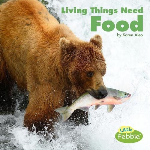 Cover image for Living Things Need Food