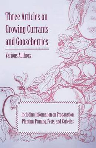 Cover image for Three Articles on Growing Currants and Gooseberries - Including Information on Propagation, Planting, Pruning, Pests, Varieties