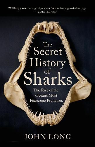 The Secret History of Sharks