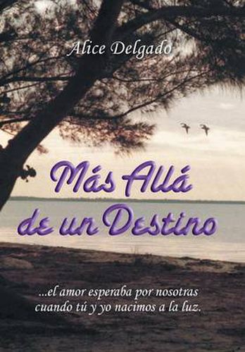 Cover image for Mas alla de un destino