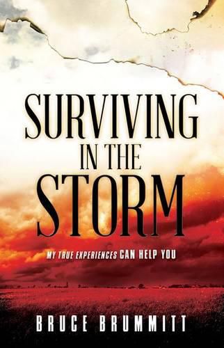 Cover image for Surviving In The Storm
