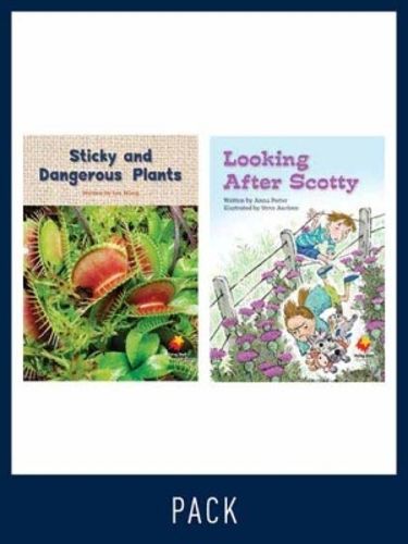 Cover image for Flying Start Guided Reading Level 15, Pack 4: Paired student books (6x6) and lesson plan (1)