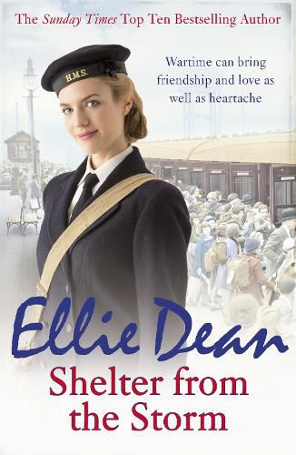 Cover image for Shelter from the Storm