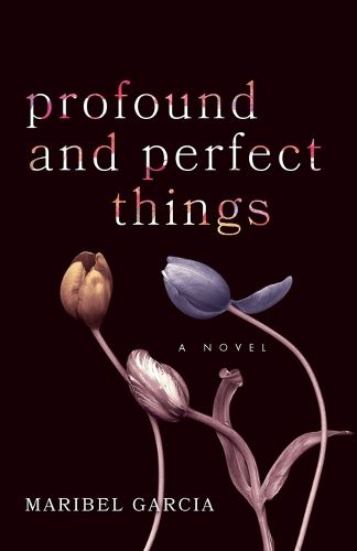 Cover image for Profound and Perfect Things: A Novel