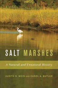 Cover image for Salt Marshes: A Natural and Unnatural History