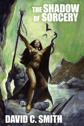 Cover image for The Shadow of Sorcery