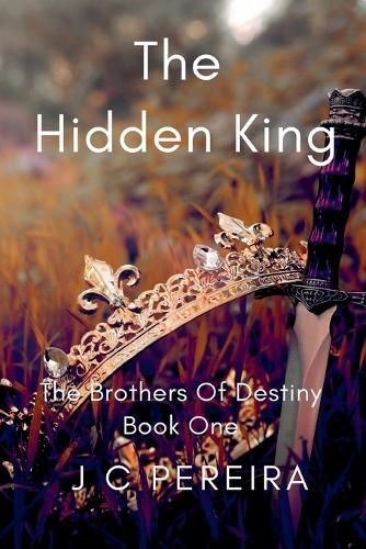 Cover image for The Hidden King (The Brothers of Destiny) Book One