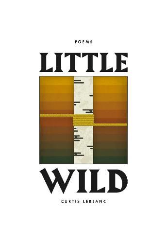 Cover image for Little Wild