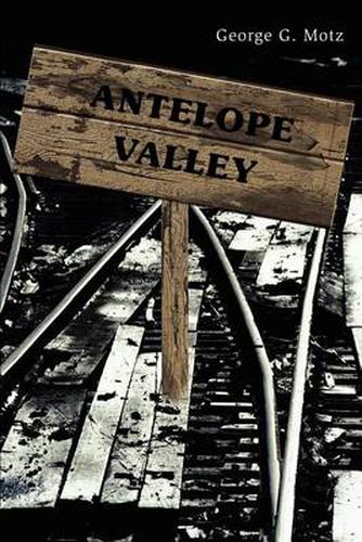 Cover image for Antelope Valley