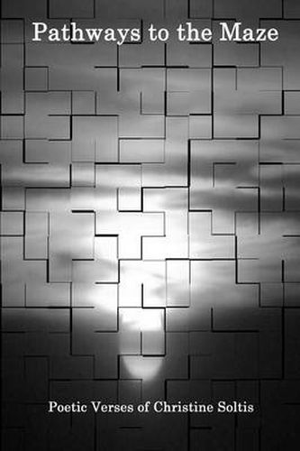 Cover image for Pathways to the Maze