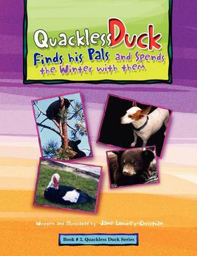 Cover image for Quackless Duck Finds his Pals