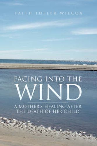 Cover image for Facing Into the Wind