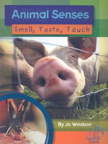 Cover image for Animal Senses: Smell, Taste, and Touch: Leveled Reader