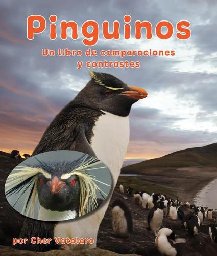 Cover image for Pinguinos: Un Libro de Comparaciones Y Contrastes: Penguins: A Compare and Contrast Book in Spanish