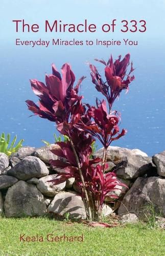 Cover image for The Miracle of 333