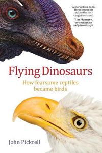 Cover image for Flying Dinosaurs: How fearsome reptiles became birds