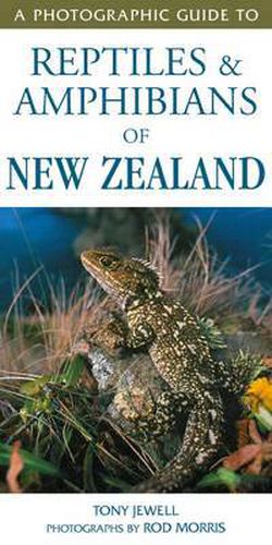 Photographic Guide To Reptiles & Amphibians Of New Zealand