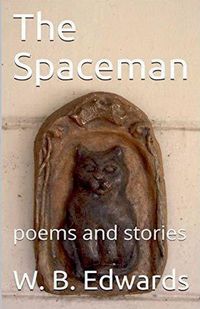 Cover image for The Spaceman