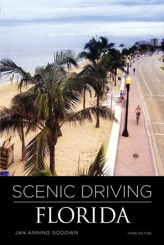 Cover image for Scenic Driving Florida