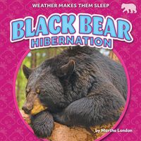 Cover image for Black Bear Hibernation