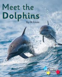 Cover image for Meet the Dolphins: Phonics Phase 5