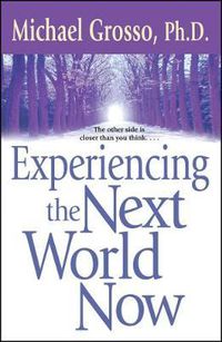 Cover image for Experiencing the Next World Now