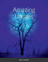 Cover image for Amazing Images