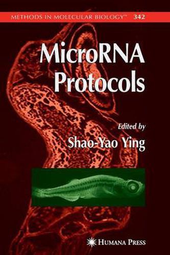 Cover image for MicroRNA Protocols