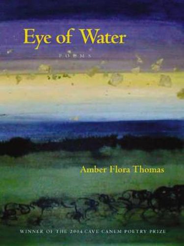 Cover image for Eye of Water