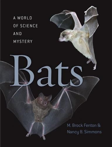 Cover image for Bats: A World of Science and Mystery