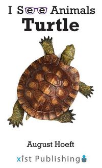 Cover image for Turtle