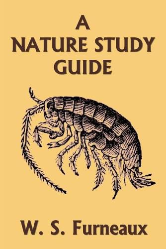 Cover image for A Nature Study Guide (Yesterday's Classics)