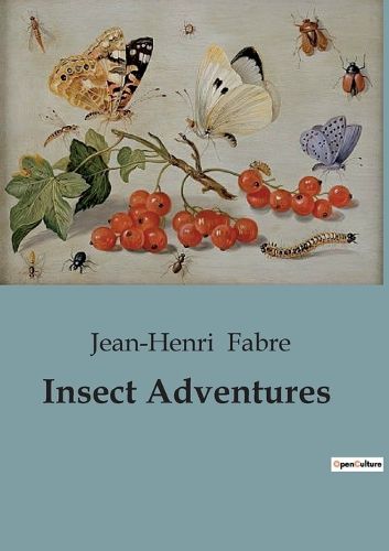 Cover image for Insect Adventures