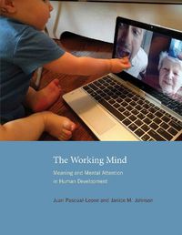 Cover image for The Working Mind: Meaning and Mental Attention in Human Development