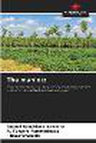 Cover image for The manioc