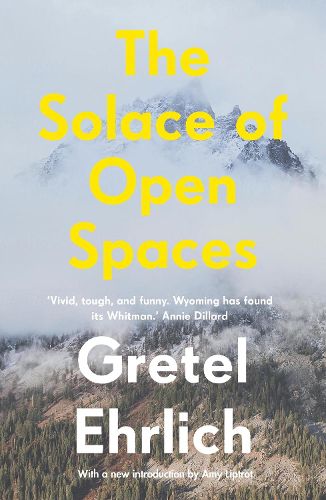 Cover image for The Solace of Open Spaces