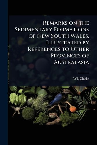 Cover image for Remarks on the Sedimentary Formations of New South Wales, Illustrated by References to Other Provinces of Australasia