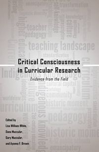 Cover image for Critical Consciousness in Curricular Research: Evidence from the Field