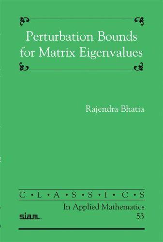 Cover image for Perturbation Bounds for Matrix Eigenvalues