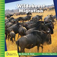 Cover image for Wildebeest Migration