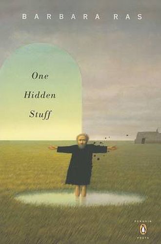 Cover image for One Hidden Stuff