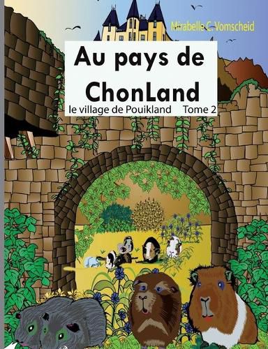 Cover image for Au pays de Chonland: Tome 2: le village de Pouikland