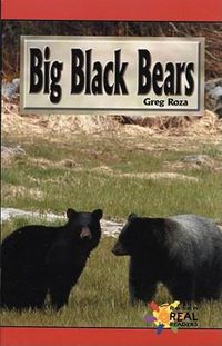 Cover image for Big Black Bears