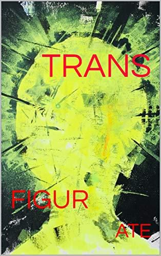 Cover image for Transfigurate