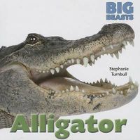 Cover image for Alligator