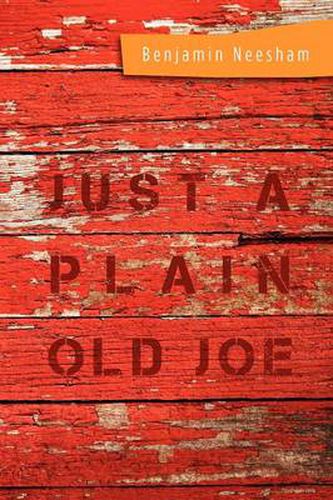 Cover image for Just a Plain Old Joe