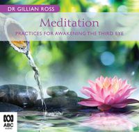 Cover image for Meditation: Practices for Awakening the Third Eye
